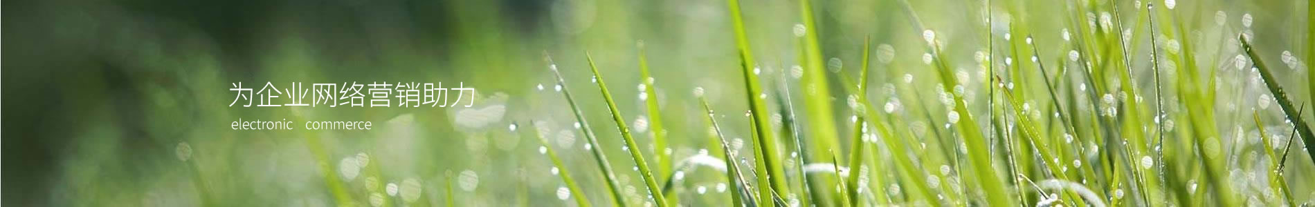 Ѷҵݣ޹˾